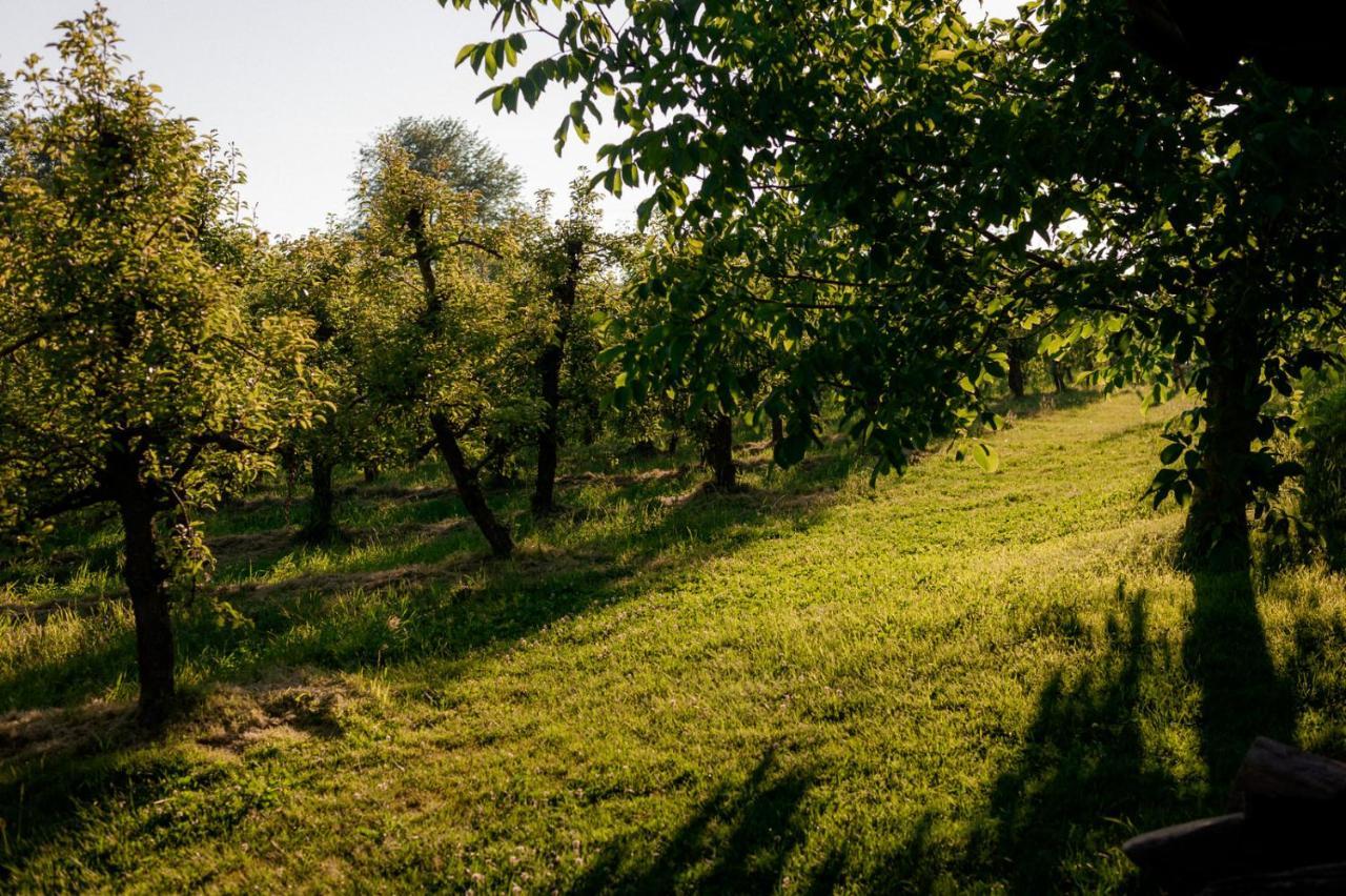 לינה וארוחת בוקר Cerkvenjak Tourist Farm Firbas מראה חיצוני תמונה