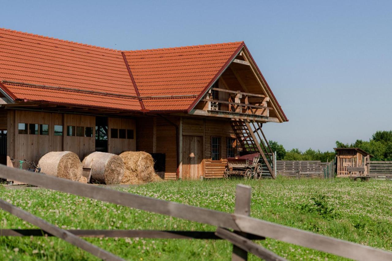 לינה וארוחת בוקר Cerkvenjak Tourist Farm Firbas מראה חיצוני תמונה
