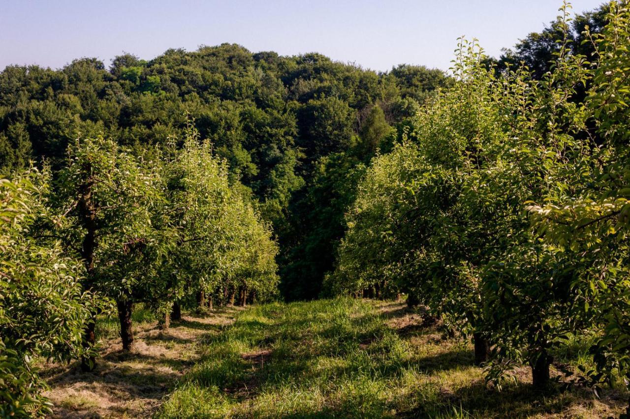 לינה וארוחת בוקר Cerkvenjak Tourist Farm Firbas מראה חיצוני תמונה