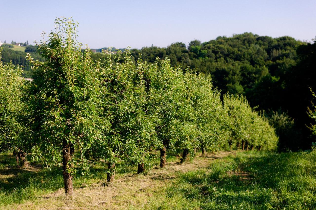 לינה וארוחת בוקר Cerkvenjak Tourist Farm Firbas מראה חיצוני תמונה